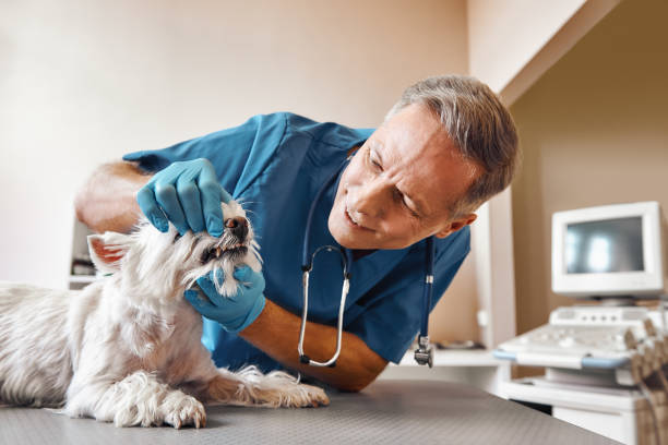 Best Emergency Tooth Extraction in Newk, AR